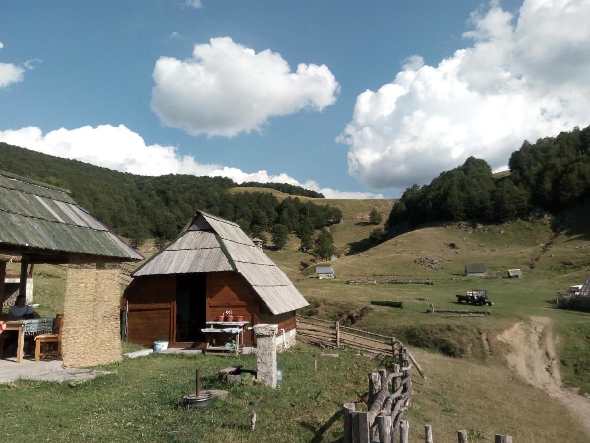 Загородные дома Eco Village Goles Колашин